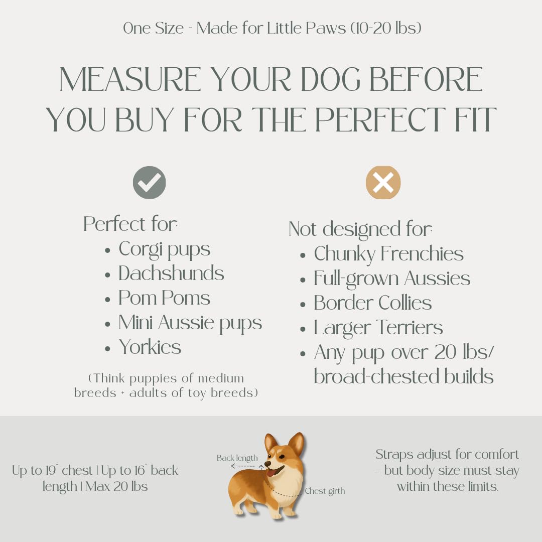 My Modern Pet Dog Carrier Backpack for Small & Medium Dogs – Hands-Free Front Chest Carrier, Escape-Proof, Breathable, Adjustable Straps for Comfortable Travel & Hiking