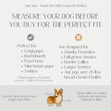 My Modern Pet Dog Carrier Backpack for Small & Medium Dogs – Hands-Free Front Chest Carrier, Escape-Proof, Breathable, Adjustable Straps for Comfortable Travel & Hiking
