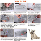 KOCASO Live Animal Trap Cage, Foldable Heavy Duty Humane Rat Trap for Indoor and Outdoor, Large Metal Mouse Trap for Squirrel Gopher Chipmunk Mice Raccoon, Easy to Catch and Release 23"x7"x8"