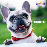 Kingdom Pets Chicken Jerky Dog Treats with Only 3 Ingredients and No Fillers, 3 Pound Bag