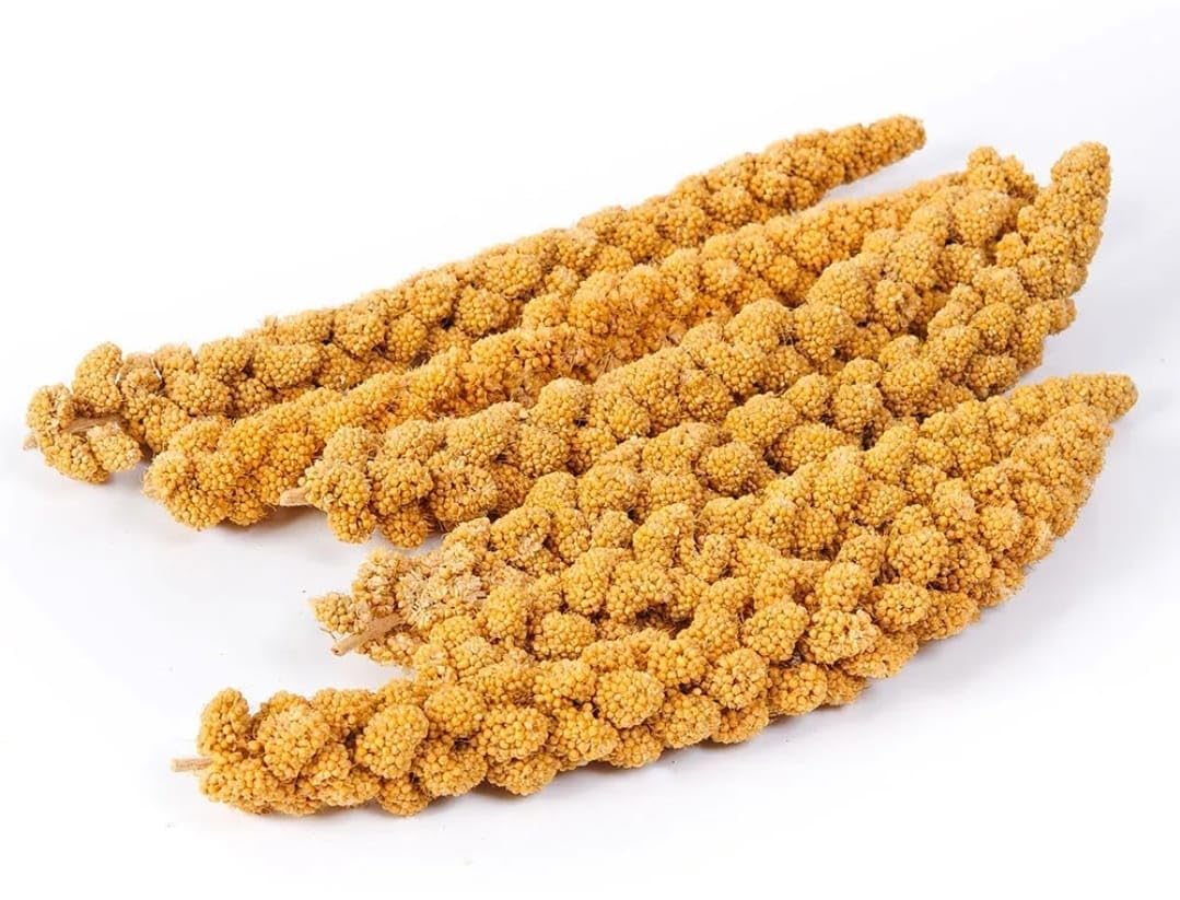 Vivlly 5LBS GMO-Free Sun Dried Spray Millet - Original Bird Treat Millet for Parakeets, Cockatiels, Finches & More - Non-GMO, High in Amino Acids, Easy Storage, Tasty & Healthy Bird Snacks (5 lbs)
