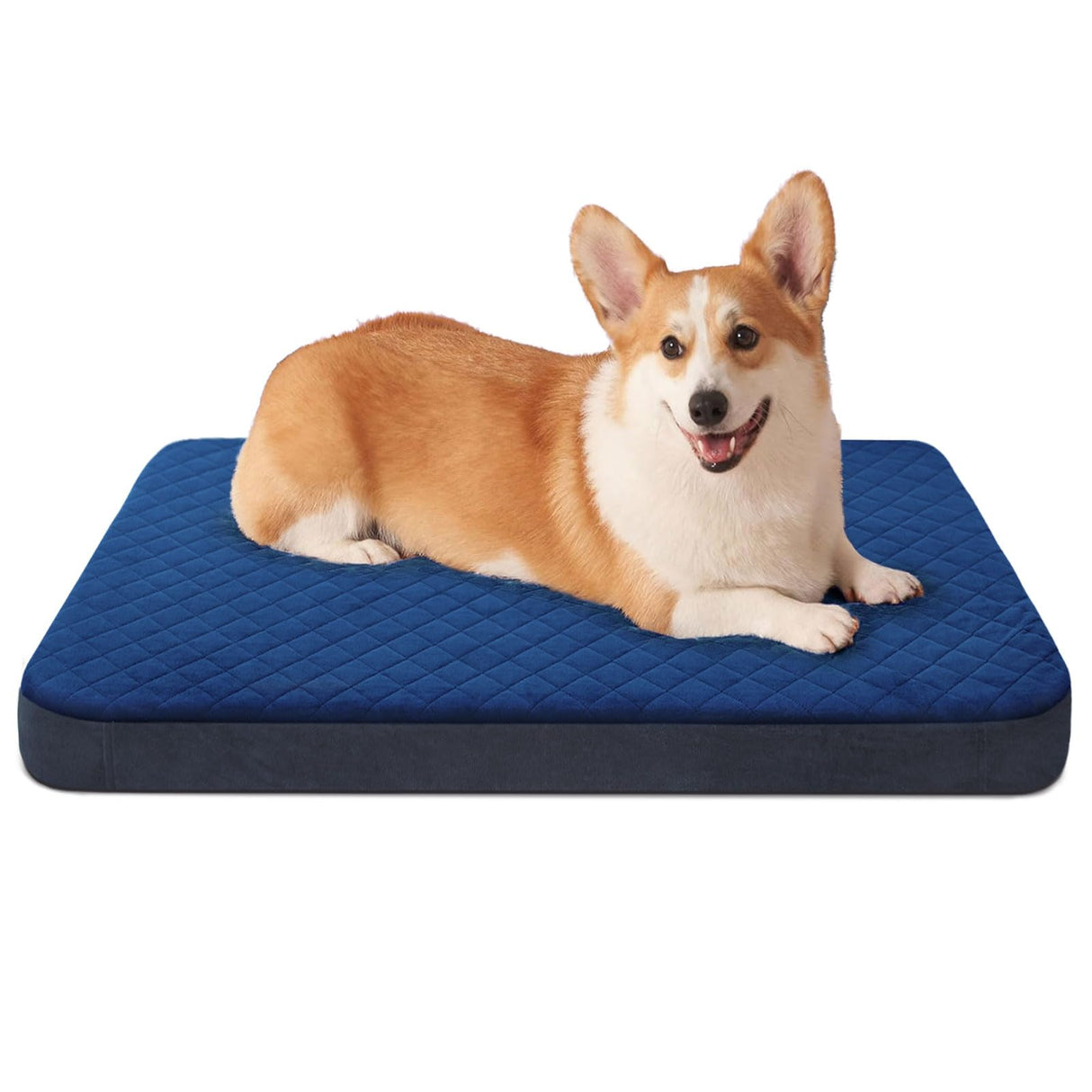 JoicyCo Dog Bed for Medium Dogs, Orthopedic Foam Dog Bed, Joint Relief Pets Sleeping Mattress, Non Slip Bottom with Washable Removable Cover, Dark Blue