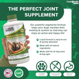 LIQUIDHEALTH 32 Oz K9 Vegetarian Liquid Glucosamine for All Dogs Canines - Chondroitin, MSM, Omega 3, Anti Oxidants Hyaluronic Acid – Joint Health, Dog Vitamins Hip Joint Juice, Joint Oil
