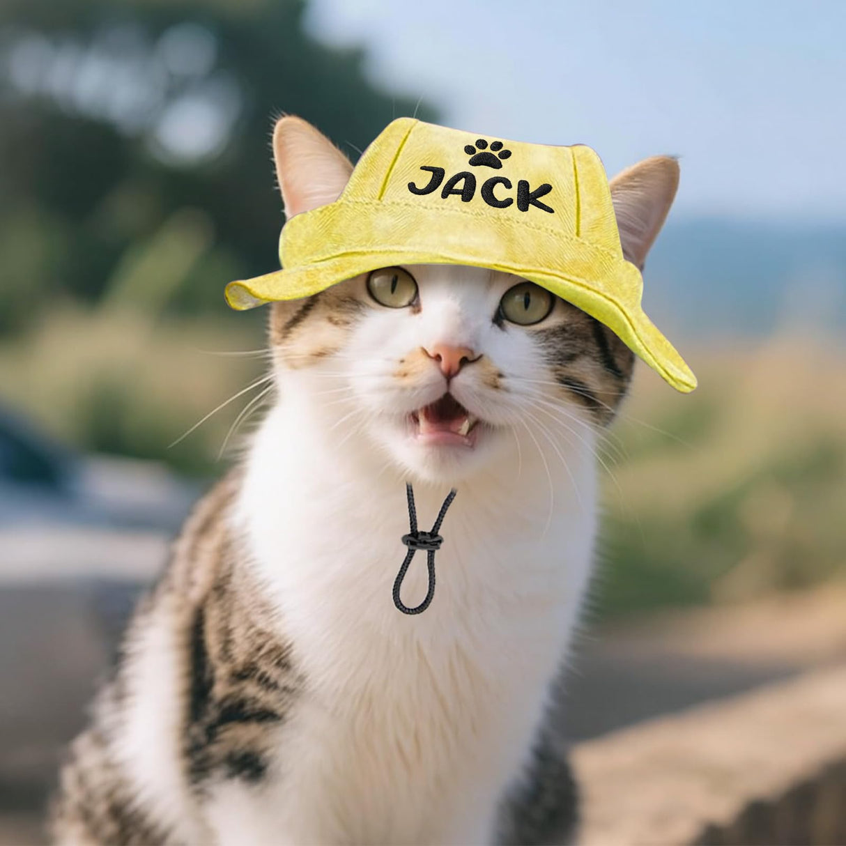 DYOART Personalized Visor Hat for Dog & Cat, Custom Dog Hat with Ear Hole for Puppy Small Medium Large Dog, Sunscreen Summer Winter Bucket Hats Gift for Pet Lover