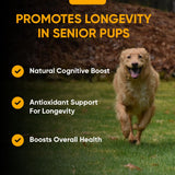 iHeartDogs Senior Super 7 Daily Dog Multivitamin - 7-in-1 Vitamin for Dogs Supports Anti-Aging with Antioxidants, Probiotics, Lion's Mane, Turkey Tail, & Ashwagandha for Longevity & Cognitive Boost