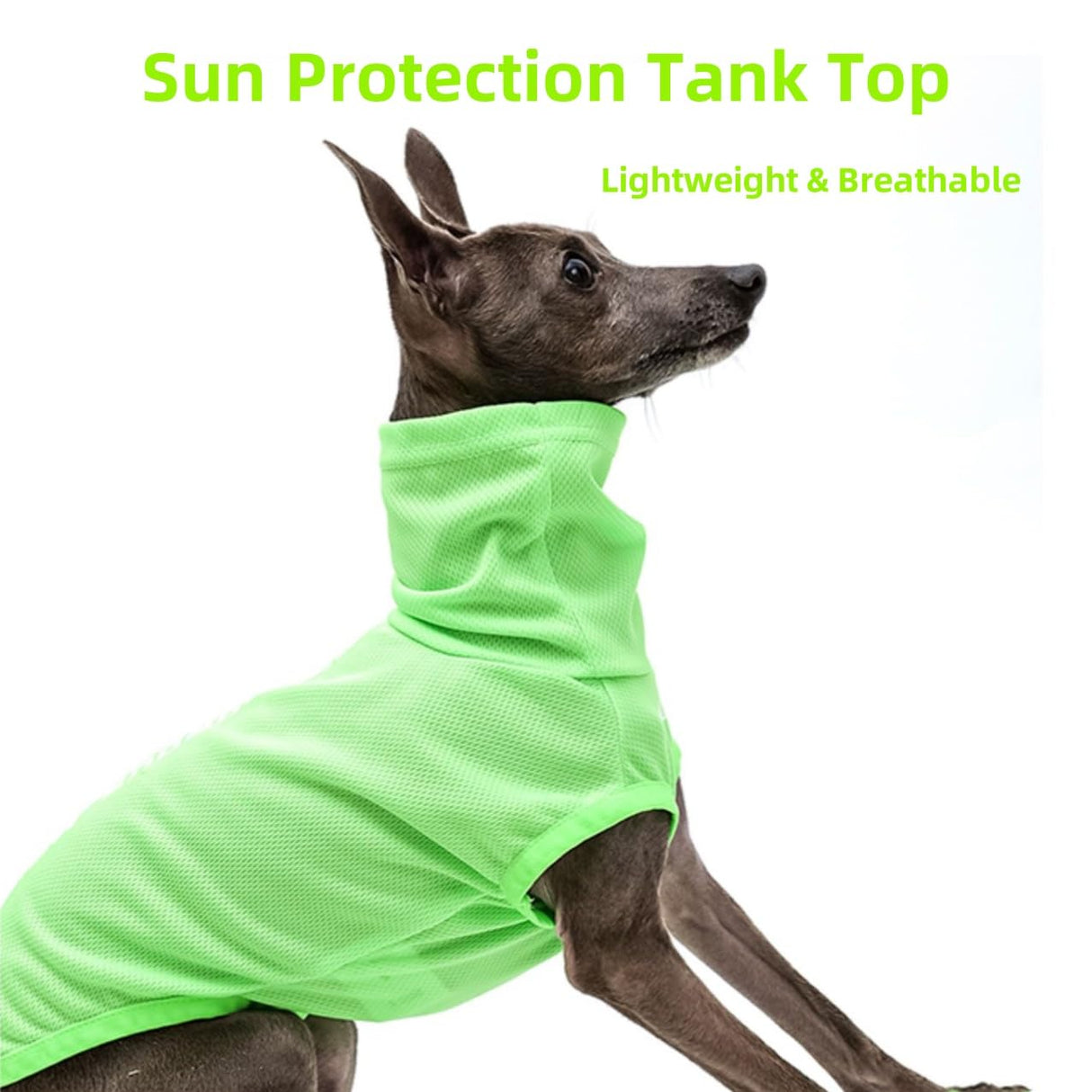 Italian Greyhound Clothes, Lightweight & Breathable Sun Protection Tank Tops for Italian Greyhound and Whippets Dogs (Green, X-Small)
