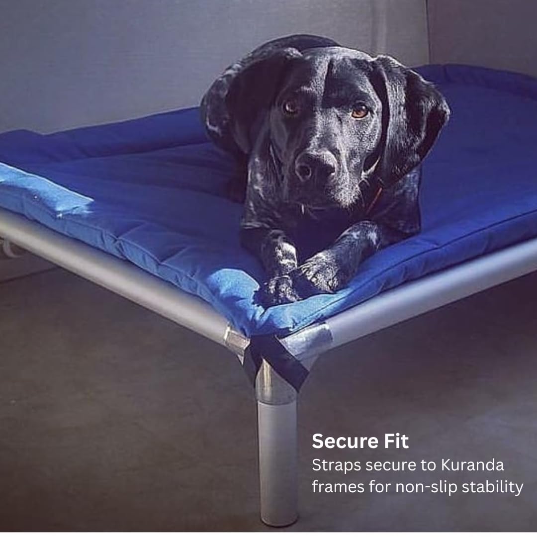 Kuranda Orthopedic Canvas Dog Bed Pad – Durable Cordura® Fabric with Quilted Padding - XX-Large - 50" x 36" - Royal Blue