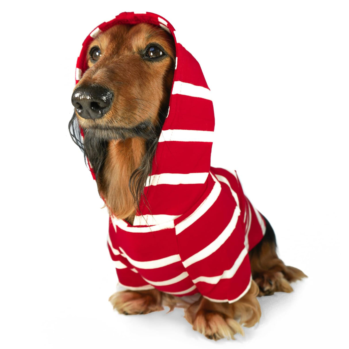 DJANGO Dog Hoodie – Warm, Lightweight, Soft & Stretchy Dog Sweater with Hood, Harness Hole & Elastic Waistband – Cozy Sweatshirt for Small Dogs up to 25 lbs, Dachshunds & Puppies – Crimson Red, Small