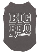 Big Bro in Training - Brother Sibling Dog Shirt (Dark Gray, Large)