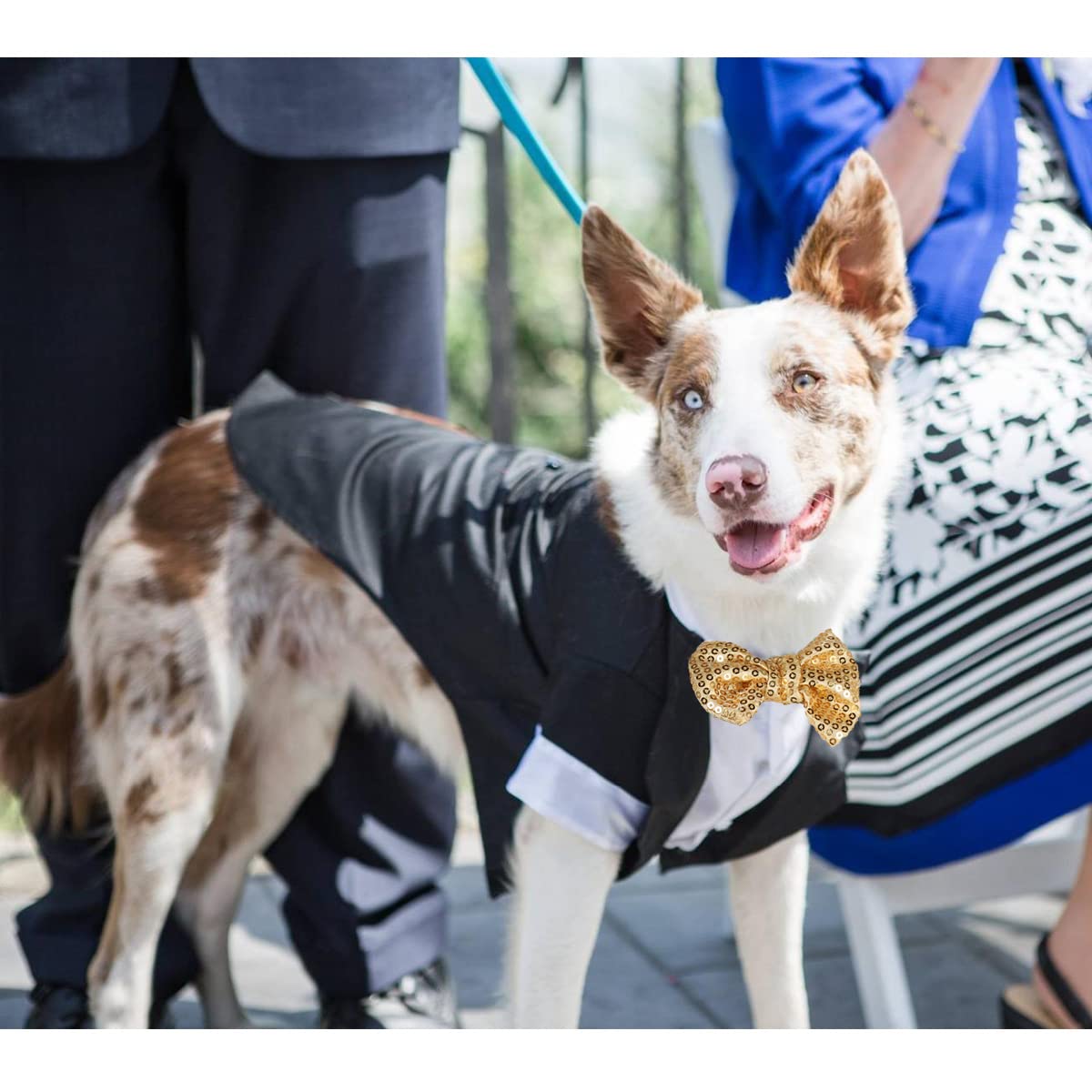Dog Tuxedo, Formal Pet Clothes Shirt Costume Wedding Attire Party Bow Tie Suit, Pet Outfit for Small Medium Large Dogs Cats, Halloween Pet Costumes Birthday Puppy Clothing Christmas Apparel (XL)