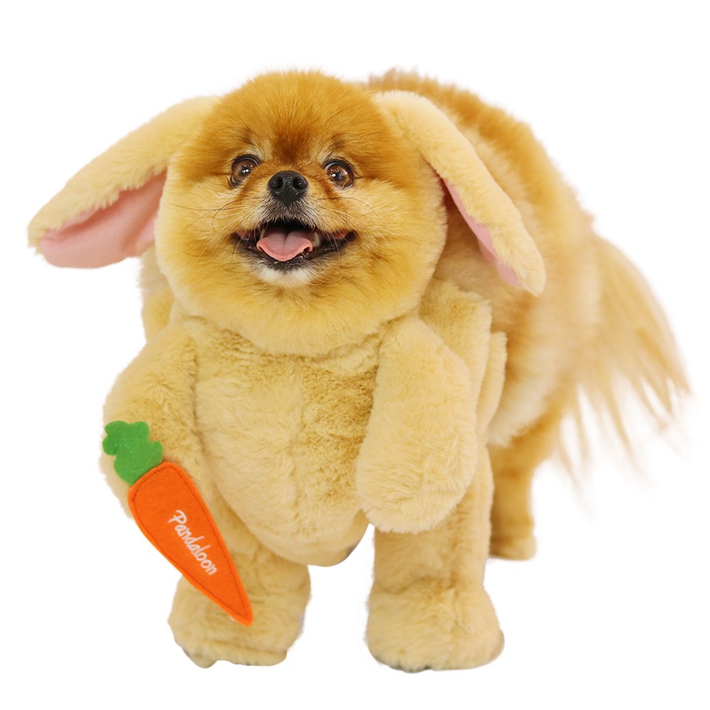 Pandaloon Dog Halloween Costume - As Seen on Shark Tank - Patented - Funny Costume with Arms for Small and Medium Dogs and Cats (Bunny, Size 2(15-16 in Height at TOP of Head,Girth<16 in))
