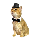 Black Top Hat with Bow Tie for Cats and Small Dogs – Handmade Formal Pet Hat for Weddings, Parties, and Photoshoots – Elegant Cat or Dog Accessory