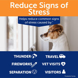ThunderWunders Hemp Dog Calming Chews | Vet Recommended for Situational Anxiety | Fireworks, Thunderstorms, Travel & More | Made with Hemp Seed, Thiamine, L-Tryptophan, Melatonin & Ginger (60 Count)