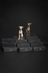 Noah & Paw Dog Stairs, Dog Ramp for Bed (17" Extra Wide) Pet Stairs for High Bed, Design to Fit Small and Large Breeds, Durable 4 Pet Steps for Couch (35 Foam Density) Leather Collection