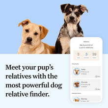 Load image into Gallery viewer, Wisdom Health Essential Dog DNA Kit | Most Accurate Test | 365+ Breeds | 30 Genetic Health Conditions | 50+ Traits, Relatives, Ancestry | Pack of 1
