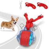 BENTOPAL Dog Toys Interactive Dogs Ball with Super High-Speed Rechargeable Dog Toy Ball for Puppies