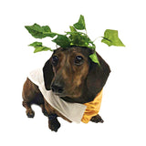 Midlee Toga Dog Halloween Costume (XXX-Large)