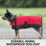 Schneiders Insulated Waterproof Reflective Dog Coats II | Reflective Stiching | 600D Polyester Waterproof | Soft Nylon Lining | Medium Weight 200gm | Color Royal | Size Medium