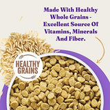 Halo Holistic Dog Food Cage Free Chicken & Brown Rice Formula, Healthy Grains Dry Dog Food, Complete Digestive Health, Kibble for Adult Dogs, 10 lb Bag
