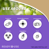 Bonide Bug Beater Stink Bug Trap, Attracts and Catches Stink Bugs Indoors and Outdoors, Long Lasting and Odorless Protection