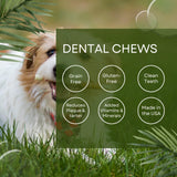 King's Selection x Kirkland Signature Dog Dental Chews, 72 Treats (in 2 Family Bundle Bulk Packaging), Cleans Teeth, Reduces Plaque & Tartar, Added Vitamins & Minerals – for Dogs 6 Months or Older