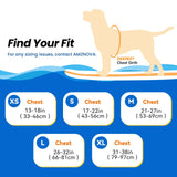 AMZNOVA Rip Stop Dog Life Jacket, Dog Life Vest for Swimming & Boating, Lightweight & Buoyancy for Doggy Puppy, Lifejacket with Handle, M, Bright Yellow
