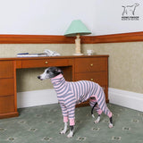 HowlyWoof Dachshund Dog Shirt, Thin Striped Base Layer Onesie for Wiener Dogs, Lightweight All-Season Wear, Soft & Comfy Fit for Doxie and Short-Leg Breeds (Pink&Grey, Size 1 (7-11lbs))