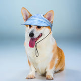 Harikaji Dog Hat with Ear Holes, Dog Baseball Outdoor Cap, Adjustable Summer Sport Hat for Small Medium Dogs Cats (Tie Dye Blue,XL)