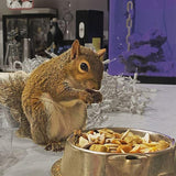 Exotic Nutrition Squirrel Complete (1.75 lb.) - Healthy Natural Food - Nutritional Diet for Pet & Captive Squirrels - Ground, Grey, Flying Squirrels, & Chipmunks