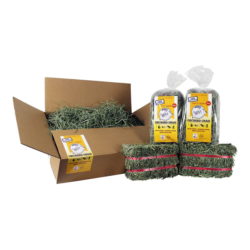Grandpa's Best Premium Orchard Grass Hay for Rabbits, Guinea Pigs, Chinchillas, Hamsters & Gerbils, 20lb Loose Boxed, Brown