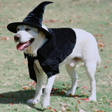 Hooded Cloak Witch/Wizard Costume for Large Pets, Dog Halloween Costume Hat and Cloak, Dog Witch Costumes Large