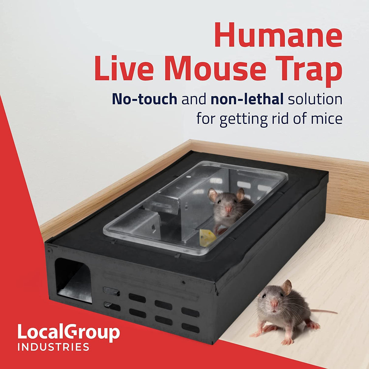 Tin Cat Multi-Catch and Release Humane Live Mouse Trap with Clear Window Lid for Indoor Outdoor Use | Sold by Canadian Supplier Local Pest Control (Black, 12 Pack)