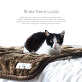 Pet Parents Pawtect Premium Waterproof Cat & Dog Blanket with WickQuick & Sherpup Technology, Puppy & Cat Blanket, Slate 32x40