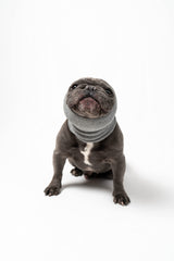 Pet Hoodz for Dogs-Anxiety, Grooming, Ear Muffs, Dog Ear Protection, Calming, Ear Compression, Pet Hoodie, Dog Hoodie (Large, Grey)