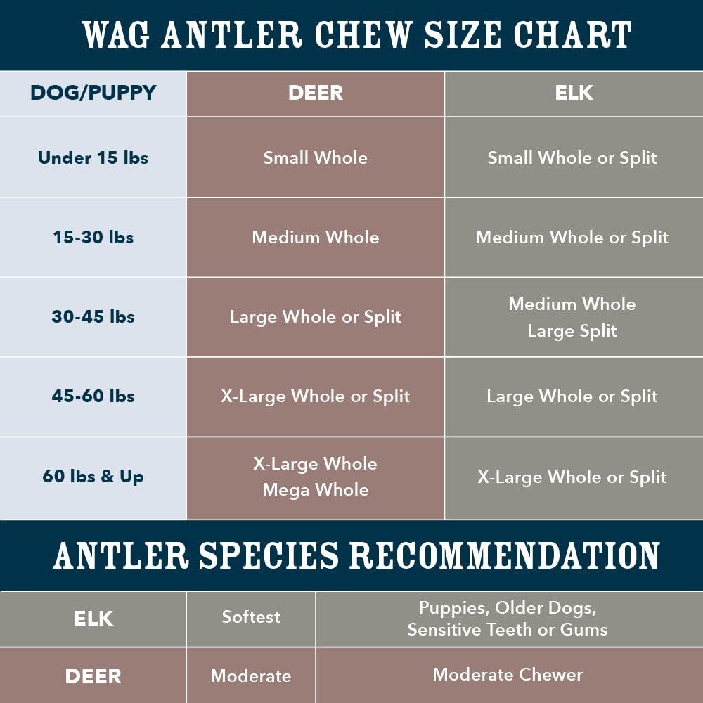 Wag Split Elk Antler, Naturally Shed, Long Lasting for Aggressive Chewers, Large (Best for Dogs 30-45 lbs)