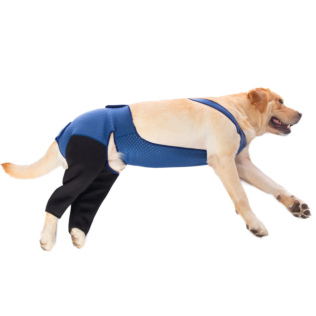 Coodeo Dog Recovery Suit Prevent Licking, Biting (2XL, Blue)