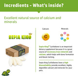 Sepia King - Medium - 100% Natural Calcium Supplement - Premium Cuttlebone Perfect for Birds, Tortoises, Snails, Reptiles - 12 Pack