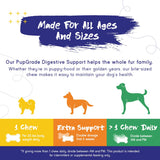 PupGrade Digestive Support Chews for Dogs - Prebiotic and Probiotic Supplement with Enzyme Blend - Upset Stomach, Diarrhea, Bowel, and Immune Support - Pumpkin, Blueberry, Mineral Oil - 60 Soft Chews