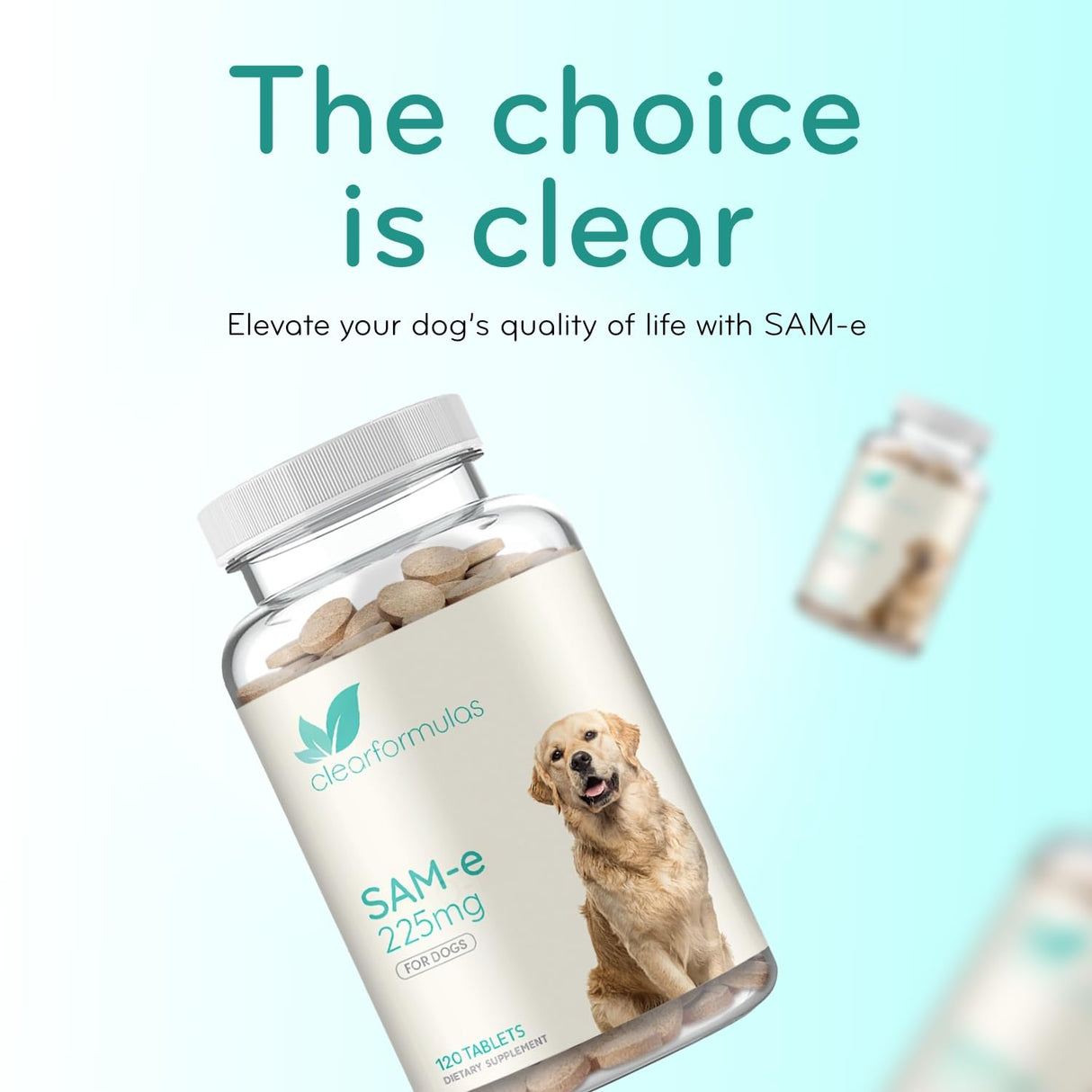 Liver Support for Dogs with SAM-e - Chewable SAM-e for Dogs Bone Mood Brain and Liver Support Supplement with Easy Absorption 225mg S-Adenosyl-L-Methionine - Made in a cGMP US Lab (Single)