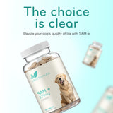Liver Support for Dogs with SAM-e - Chewable SAM-e for Dogs Bone Mood Brain and Liver Support Supplement with Easy Absorption 225mg S-Adenosyl-L-Methionine - Made in a cGMP US Lab (Single)