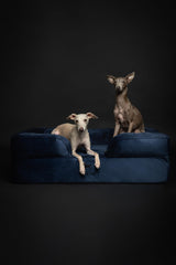 NOAH & PAW Large Dog Bed, 35x25x11 Inch, Orthopedic Dog Beds, Eggshell Memory Foam Infused with Cooling Gel, Inner Cover, Waterproof, Machine Washable (Velvet Sofa Collection)