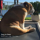 Kuranda Chewproof Elevated Pet Bed - Almond PVC - 50" x 36" - Cordura Nylon - Gold