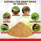 10 Pack Fly Trap Bait Refills, Reusable Fly Bait, 10 * 30g Natural Fly Bait Refill Packets Killer for Reusable Fly Traps Outdoor, Fly Attractant for Ranch Fly Traps Outdoor
