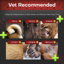 Load image into Gallery viewer, Petazy 2% Chlorhexidine Wipes for Dogs 3X Larger | Yeast Infection Ringworm Fungus Hot Spot Itch Relief | Medicated Antibacterial Antifungal Gentle Soothing Topical Wipes for Dog Cat | 50 Wipes 5x6
