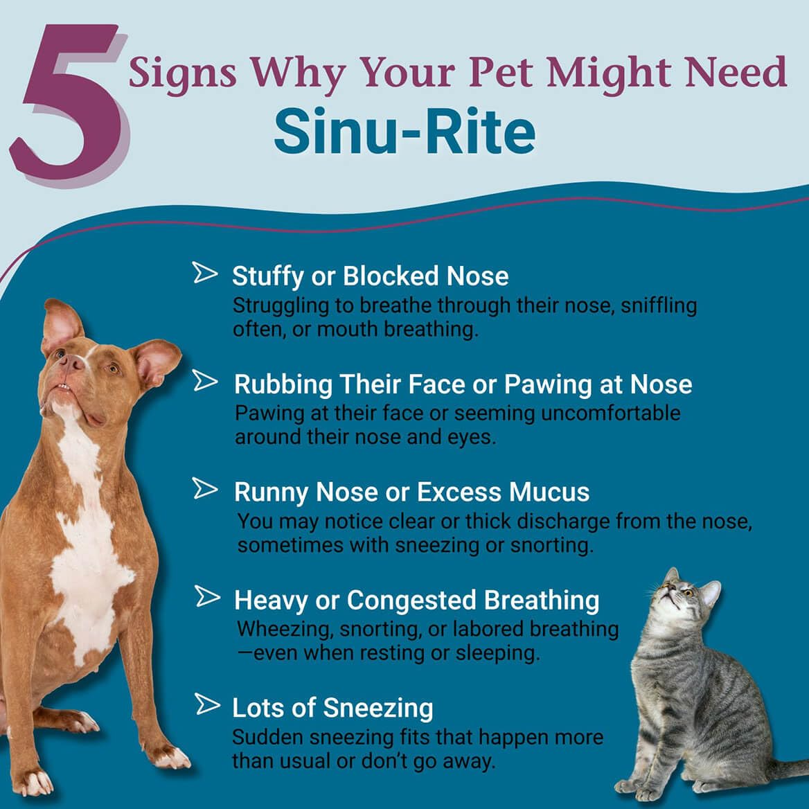 PetAlive Sinu-Rite Cat and Dog Nasal Congestion Relief - Homeopathic Tablets - Supports Temporary Relief from Sinus Congestion, Runny Nose, Facial Pressure - Dog and Cat Sneezing Treatment - 180 Count