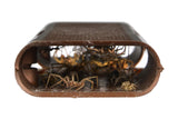 RESCUE! Spider Traps – Catches Brown Recluse, Hobo Spiders, Black Widows & Wolf Spiders - 3 Pack (9 Traps)