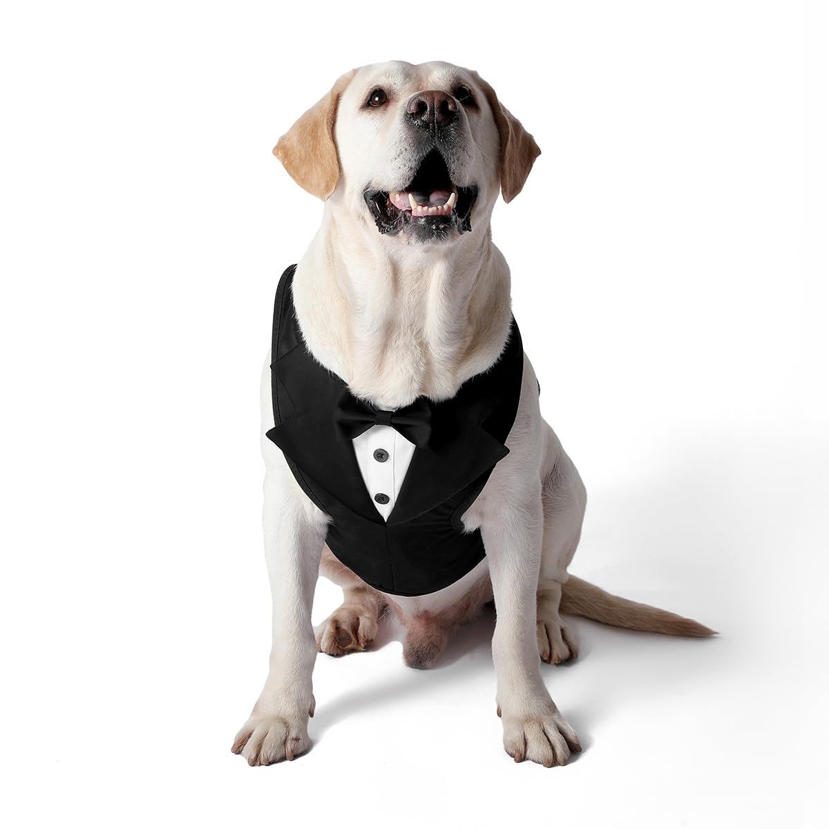 PawPleasure Dog Tuxedo Harness, Adjustable Pet Harness No Pull for Small Medium Dogs, Doggie Wedding Suit with Bow Tie Party Costume (Black, XL)