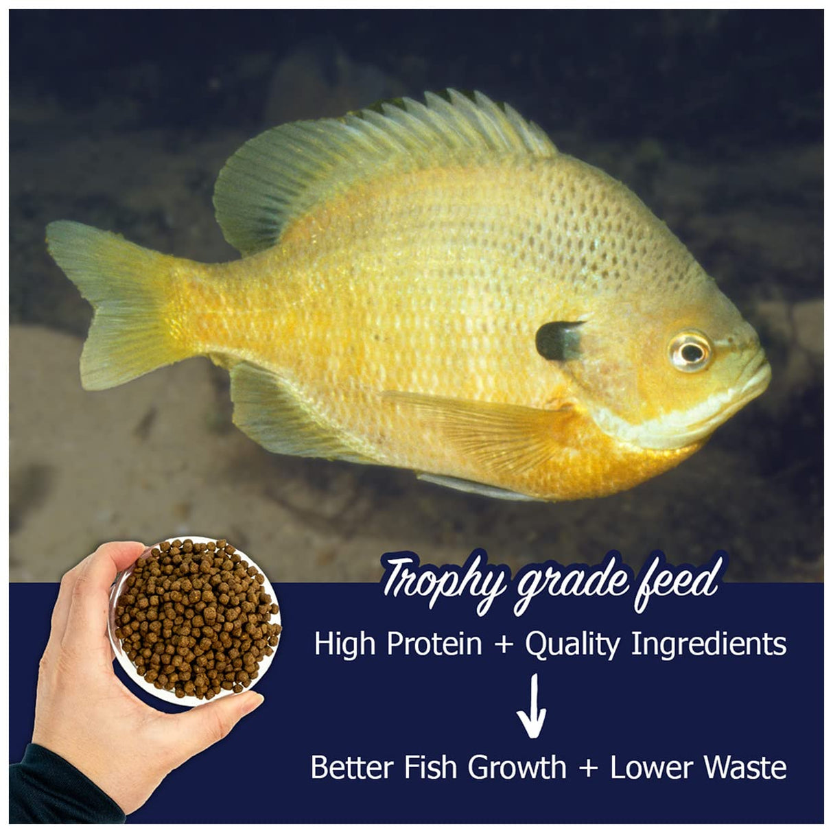 Natural Waterscapes Game Fish Food Variety | Pond and Lake Fish Food Pellets | 22 lb Bag | Feed to Bass, Bluegill, Trout, Catfish, tilapia | Floating Pellets