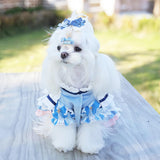 MengYu Small Dog Dress Cat Princess Costumes, Pet Birthday Clothes,Lolita Costume Dress for Puppy and Kitten，Velvet Pet Bodysuit Clothes for Daily，Anniversary，Indoor，Outdoor