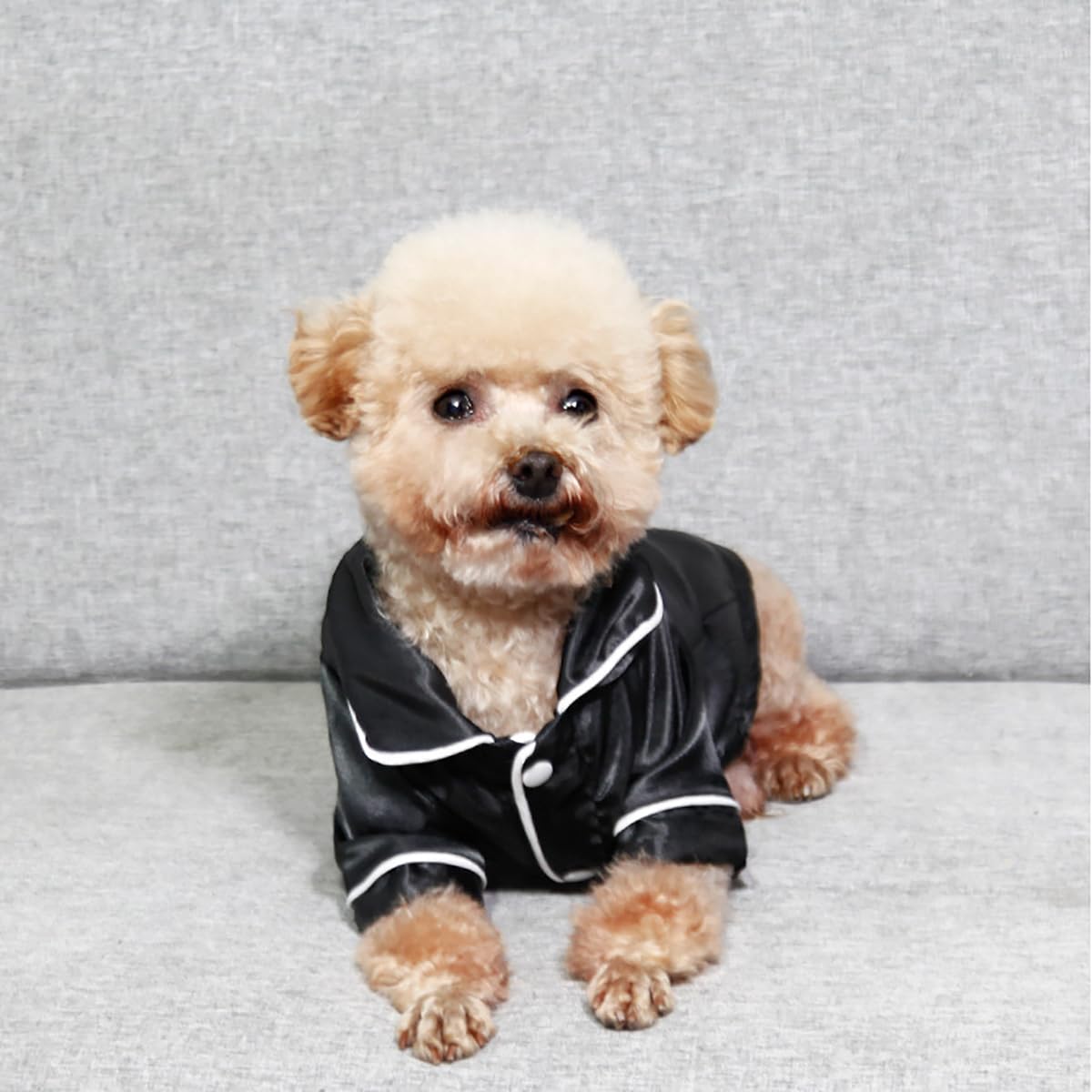 Dog Silk Pajamas for Small Medium Large Dogs Cats Soft Silk Lapel Pet Sleepwear Shirts Chihuahua Bulldog Yorkie Pjs Loungewear Clothes Dog Cat Comfortable Breathable Two-Legged Outfit